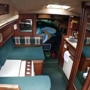 1984 Sea Ray 260 sundancer