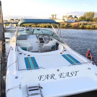 1994 Sea Ray sun sport