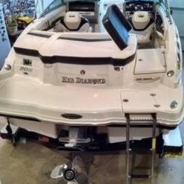 2010 Chaparral 20