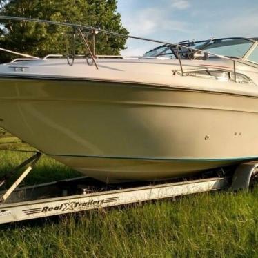 1992 Sea Ray sundancer 300