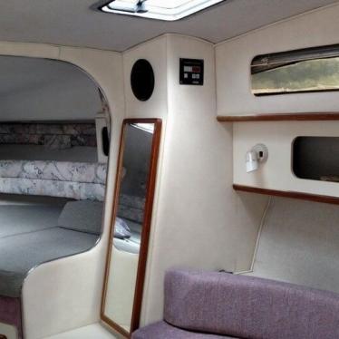 1992 Sea Ray sundancer 300