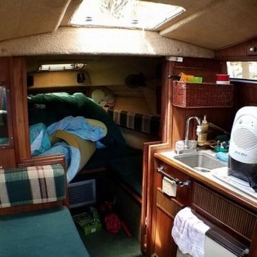 1984 Sea Ray sundancer