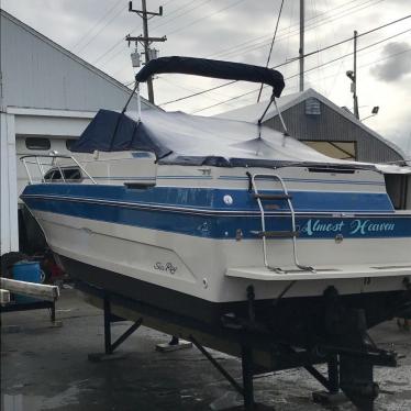 1987 Sea Ray 260 sundancer