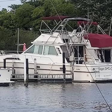 1983 Sea Ray 390 srv