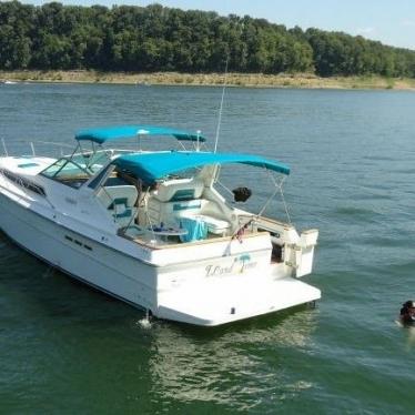 1989 Sea Ray 390