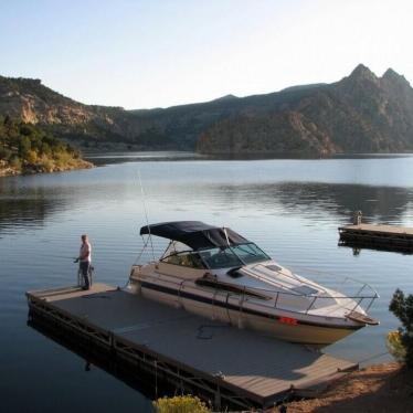 1989 Sea Ray 268 sundancer