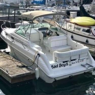 1996 Sea Ray 25