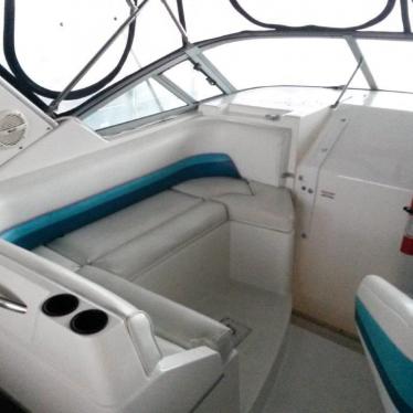 1993 Chaparral signature 29