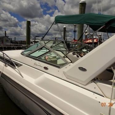 2000 Chaparral 290 signature