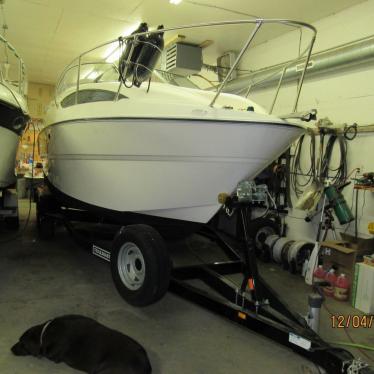 2003 Bayliner sunbird