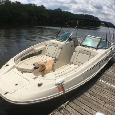 2010 Sea Ray 260 sundeck