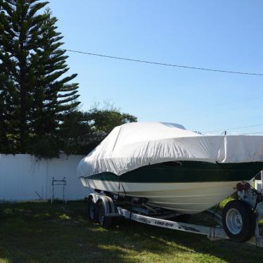 1999 Sea Ray mercruiser 5.0l