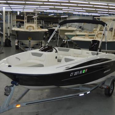 2014 Bayliner 16 element