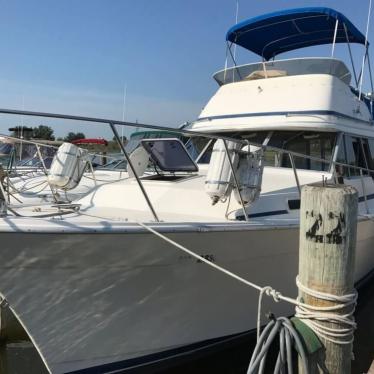 1985 Bayliner explorer 3270