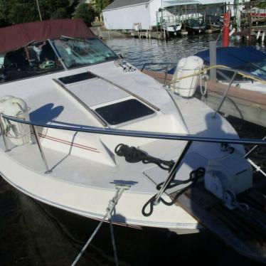 1985 Sea Ray 270 sundancer