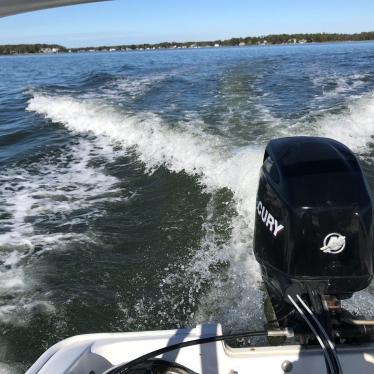 2010 Boston Whaler 150 sport