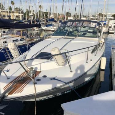 1989 Sea Ray sundancer 340