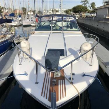 1989 Sea Ray sundancer 340