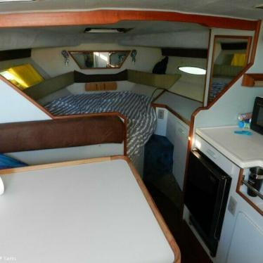 1989 Sea Ray sundancer