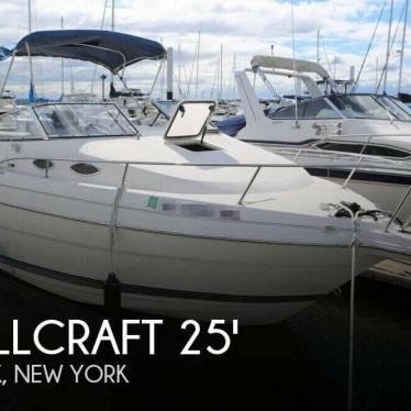 2001 Wellcraft 2400 martinique