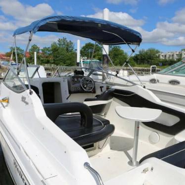 2001 Wellcraft 2400 martinique