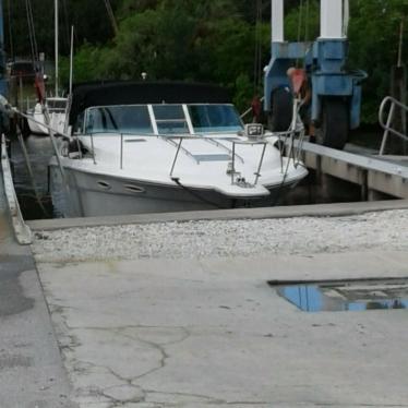 1990 Sea Ray 350 express cruser