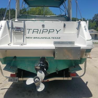 1993 Sea Ray sundancer 290