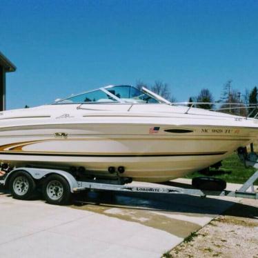 1999 Sea Ray 20