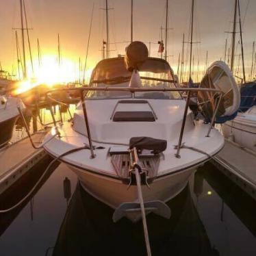 1984 Sea Ray 260 sundancer