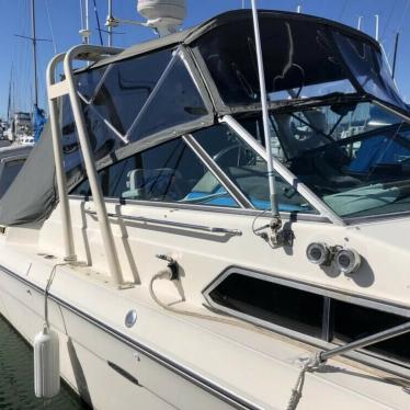 1984 Sea Ray 260 sundancer