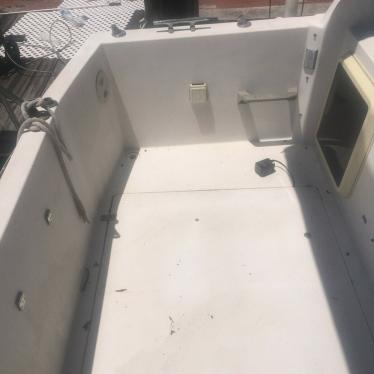 1986 Bayliner bayliner 2550 ciera designer's edition 1986