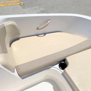 2017 Bayliner element e16