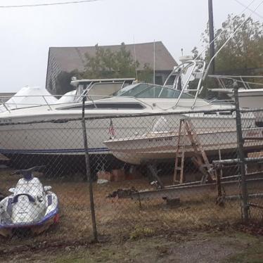 1985 Sea Ray sundancer