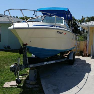 1981 Sea Ray mercury cruiser 230/v8