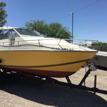 1979 Wellcraft suncruiser