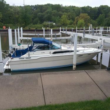 1985 Sea Ray sundancer 300