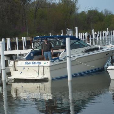 1985 Sea Ray sundancer 300