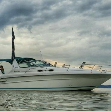 1994 Sea Ray sundancer 300