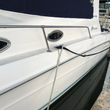 1994 Sea Ray sundancer 300