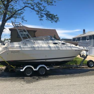 1999 Wellcraft 2400 martinique