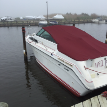 1990 Sea Ray sundancer