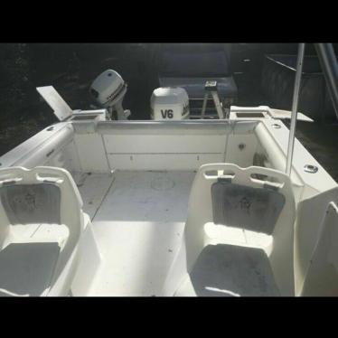 1999 Wellcraft well craft 240