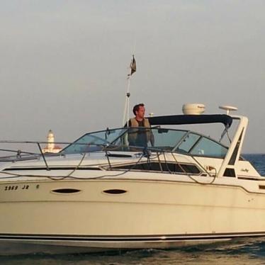 1989 Sea Ray sundancer