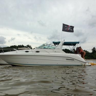 1994 Sea Ray sundancer 300