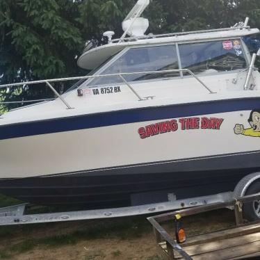 1987 Bayliner 2560