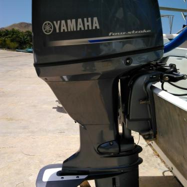 2014 Yamaha panga