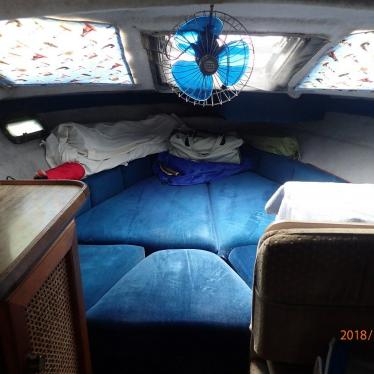 1986 Bayliner ceria sunbridge