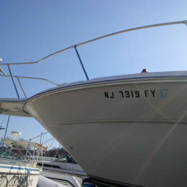 1994 Sea Ray 310 amberjack