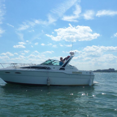 1989 Sea Ray