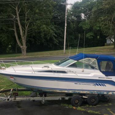 1993 Sea Ray 290 da sundancer